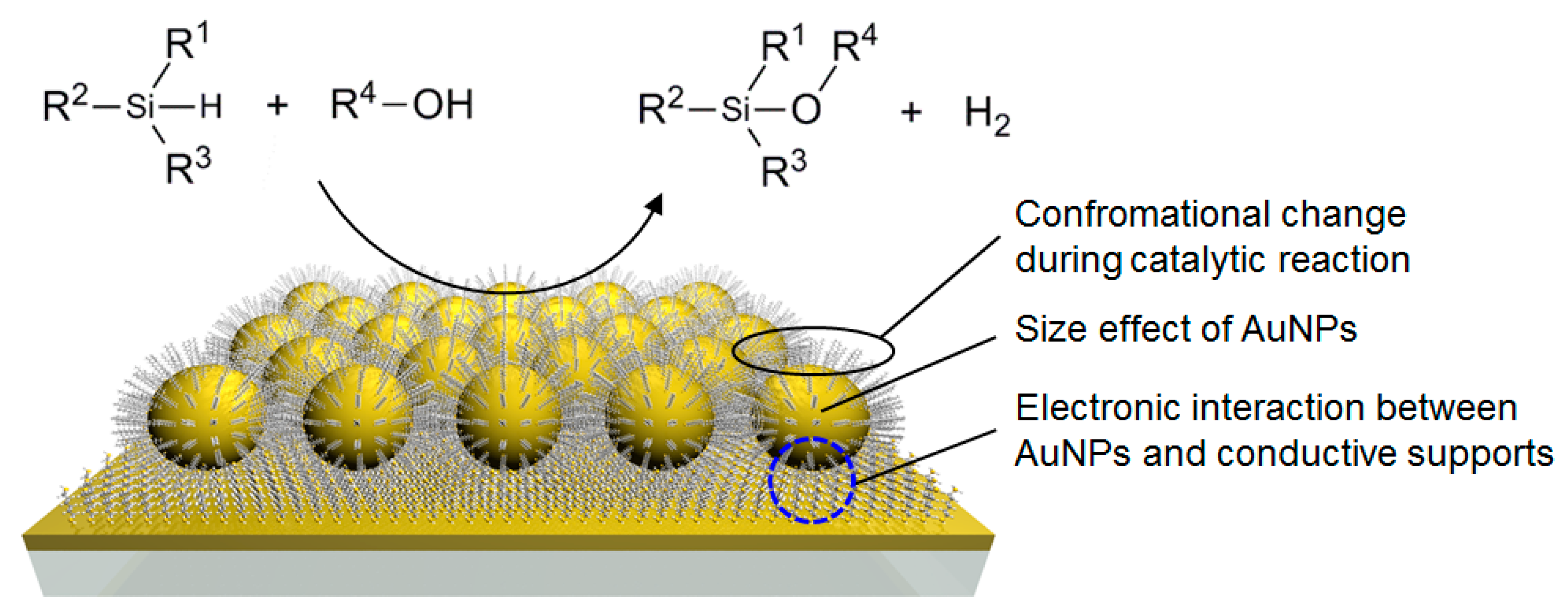 Catalysts 10 00908 g001 Catalysts 10 00908 g001