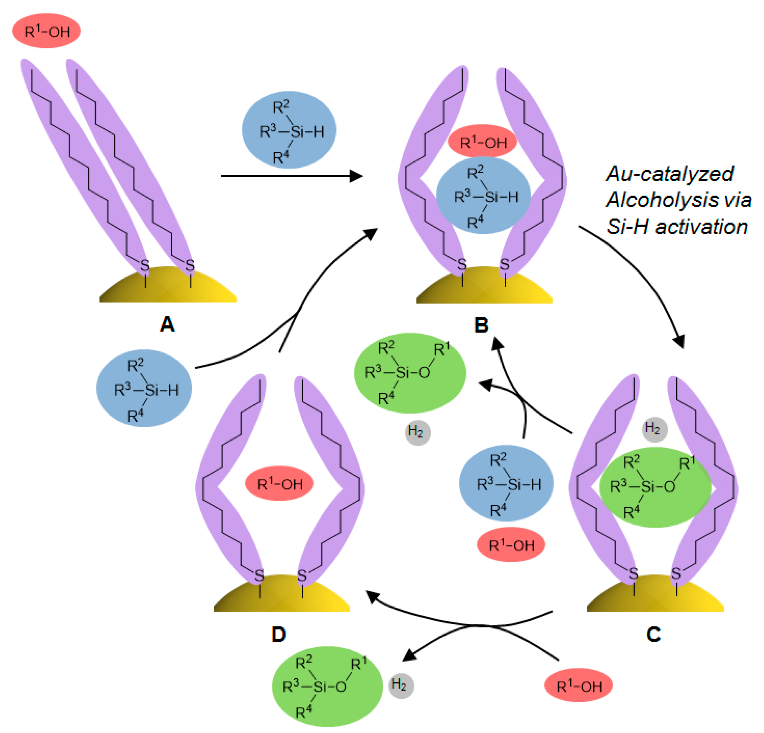 Catalysts 10 00908 g010 Catalysts 10 00908 g010