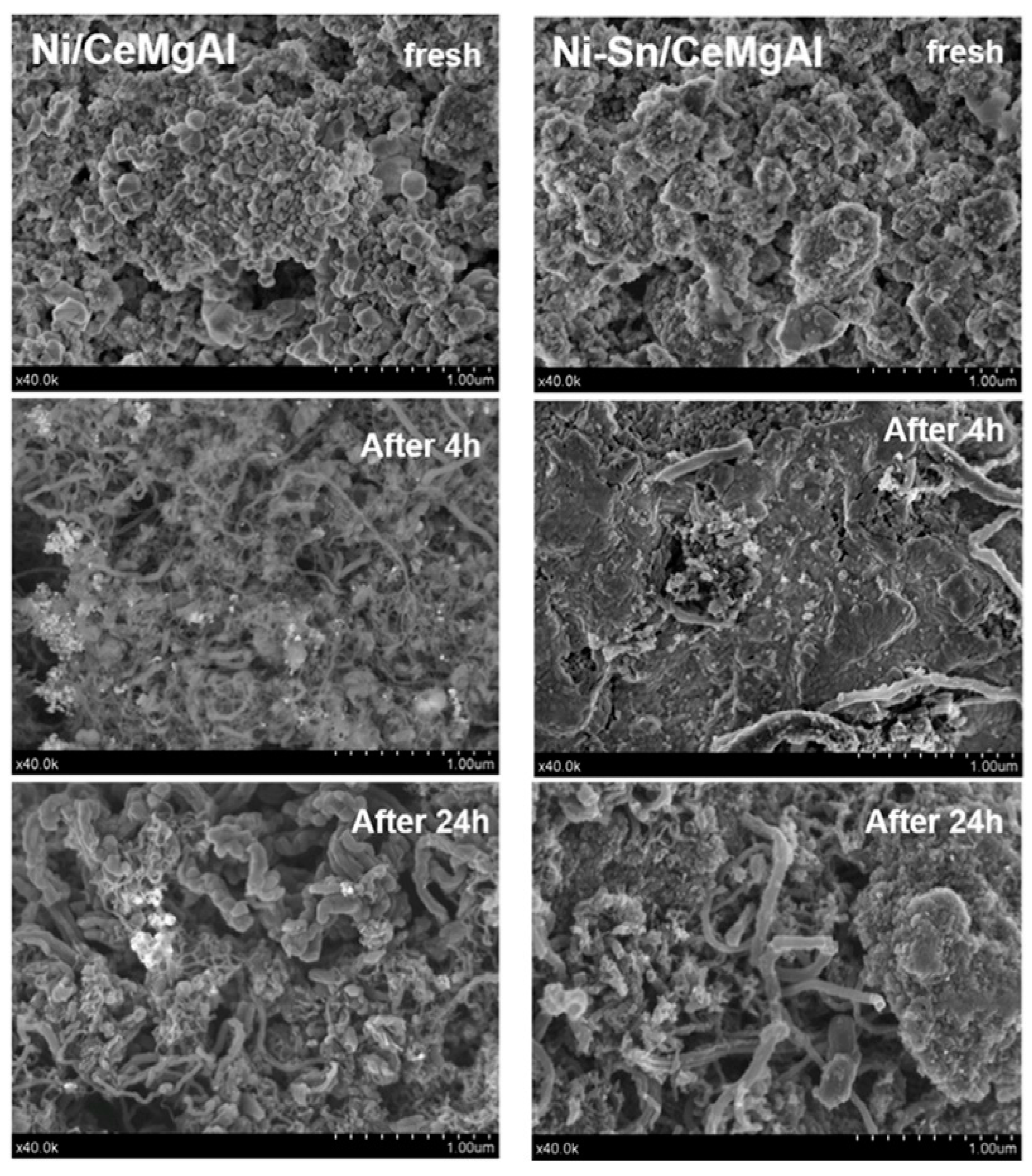 Catalysts 10 00910 g006 Catalysts 10 00910 g006