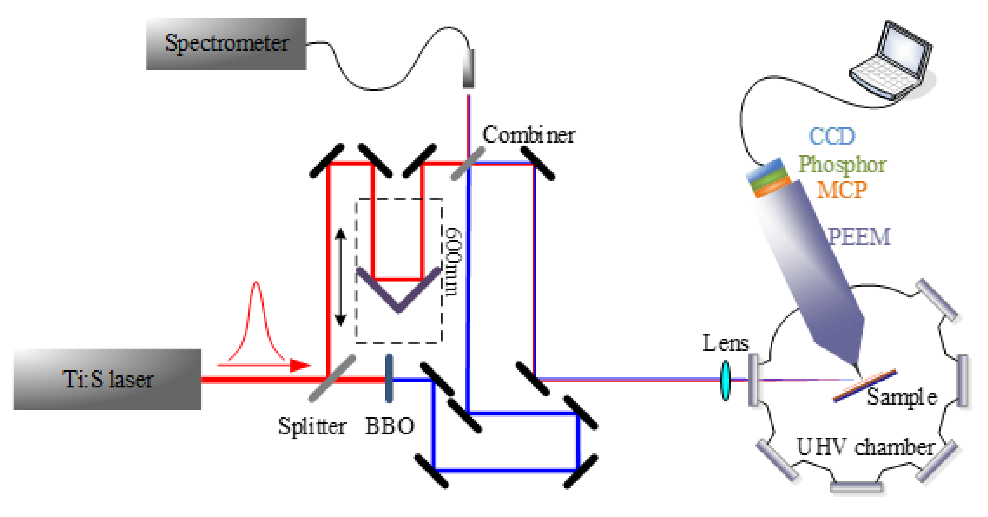 Catalysts 10 00916 g013 Catalysts 10 00916 g013