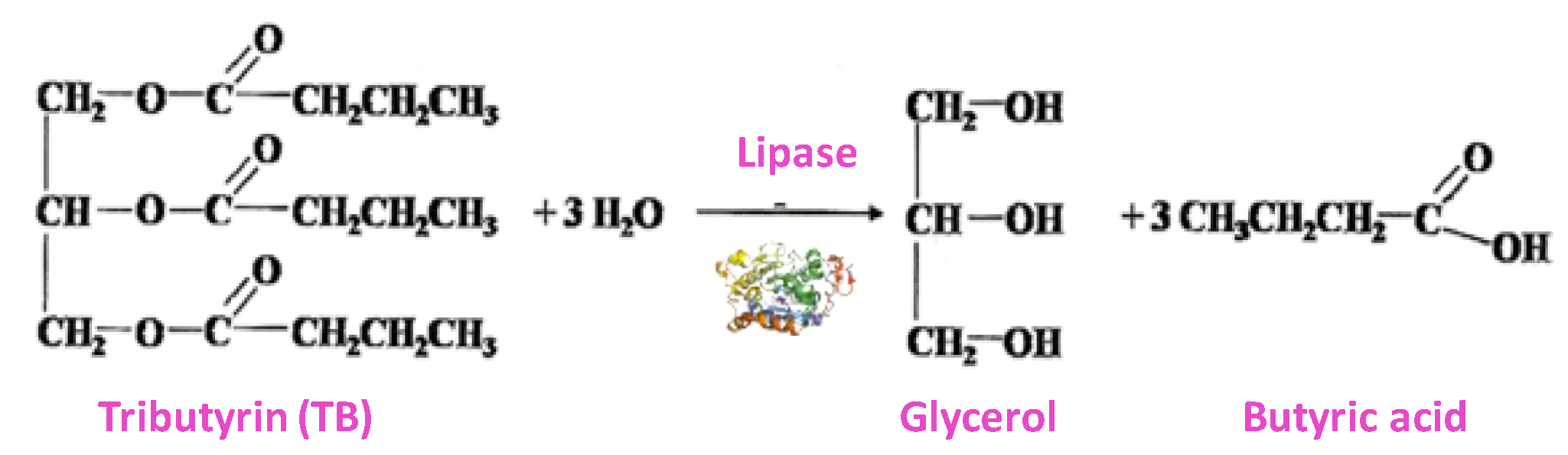 Catalysts 10 00918 sch003