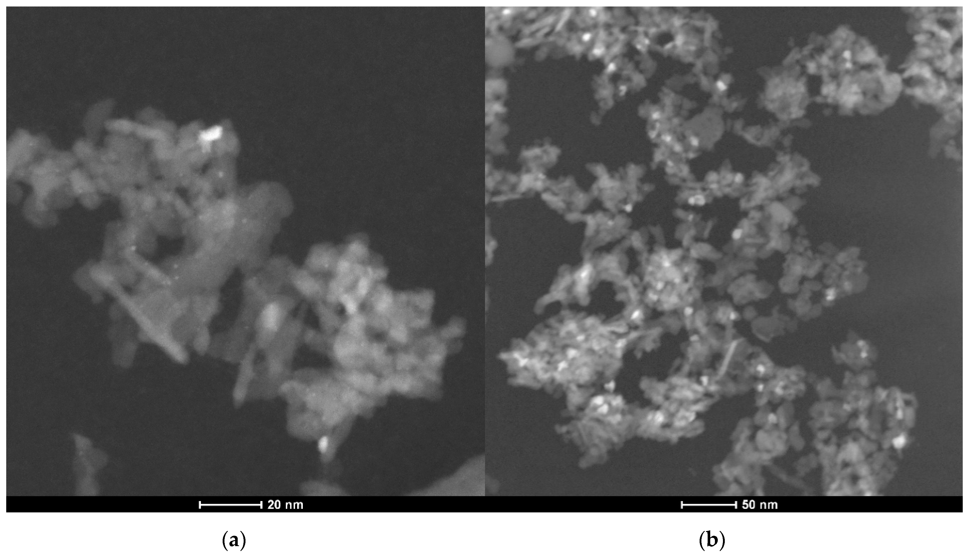 Catalysts 10 00922 g003