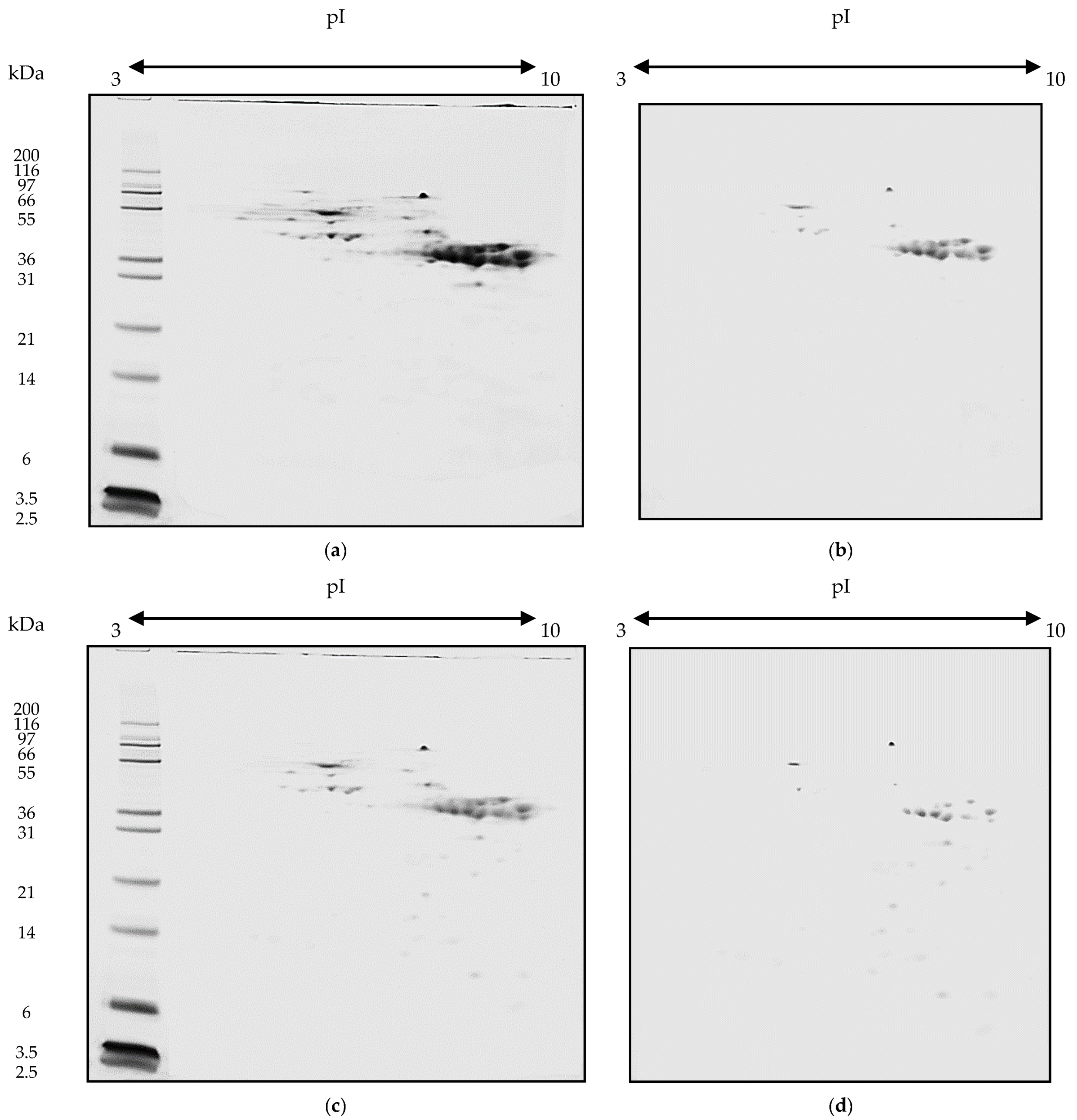 Catalysts 10 00923 g001 Catalysts 10 00923 g001
