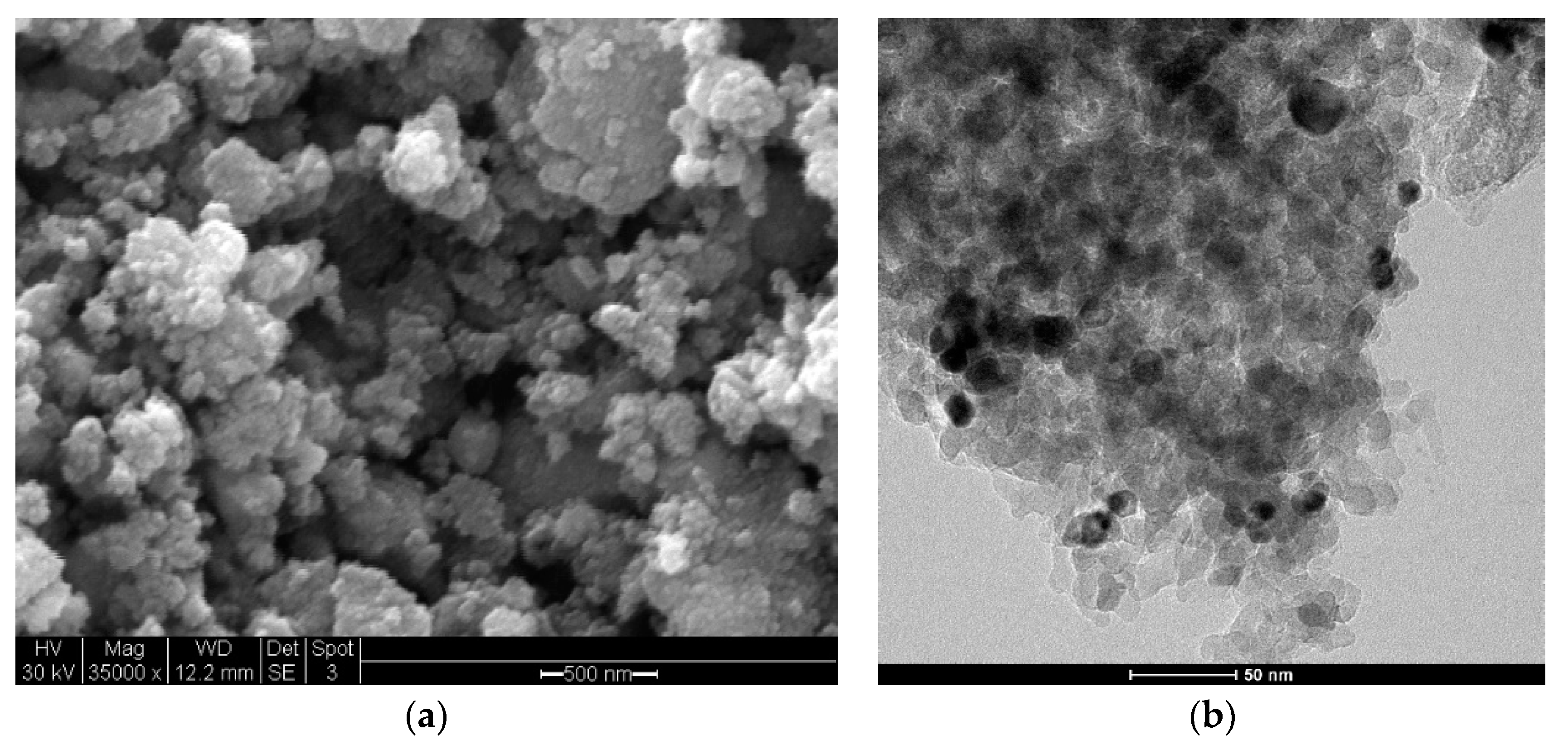 Catalysts 10 00927 g009 Catalysts 10 00927 g009