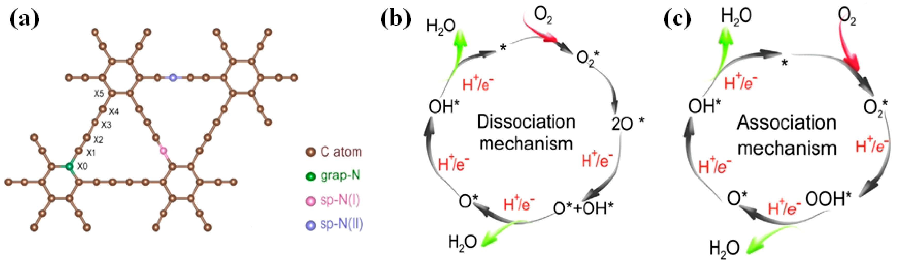 Catalysts 10 00929 g008