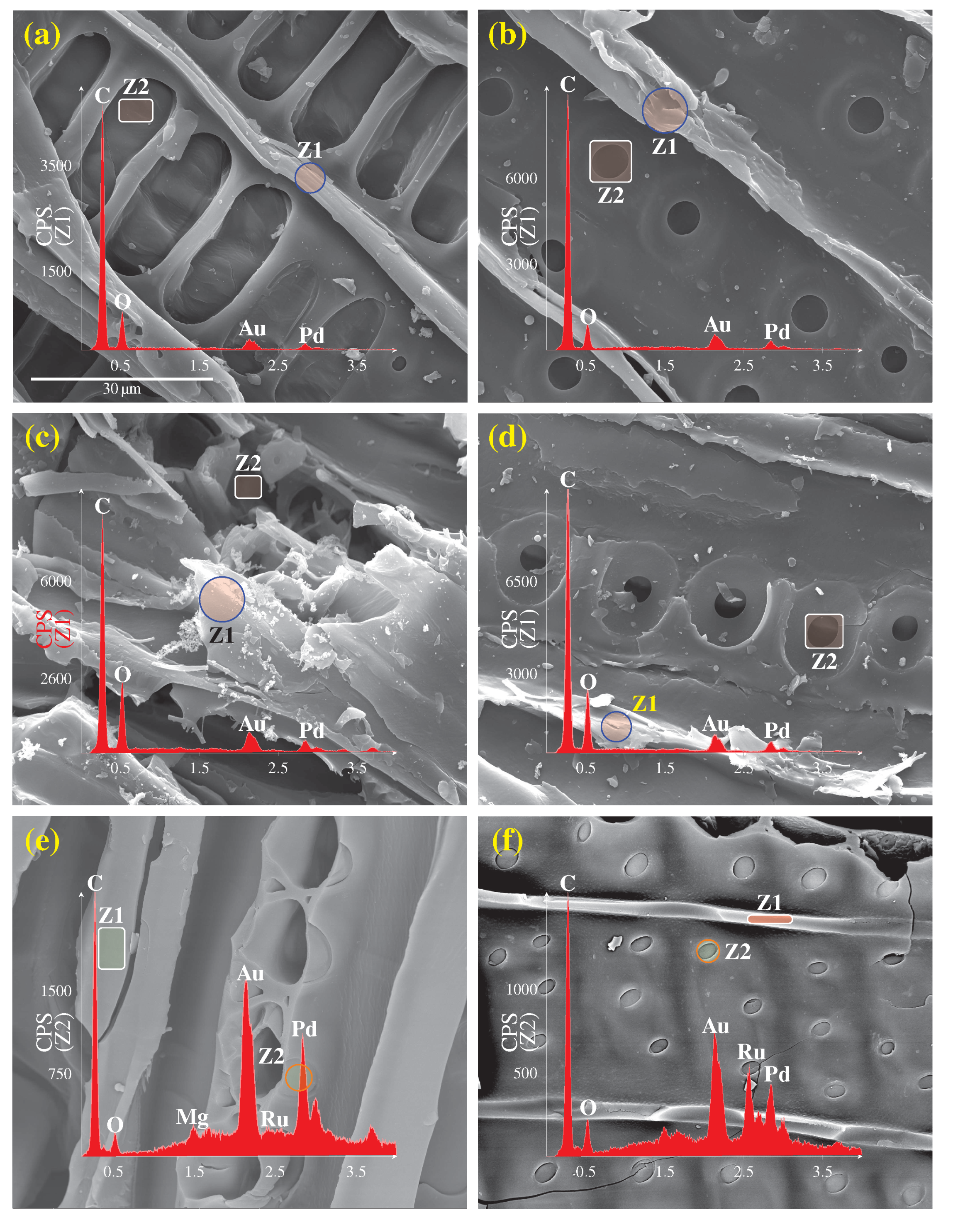 Catalysts 10 00934 g003