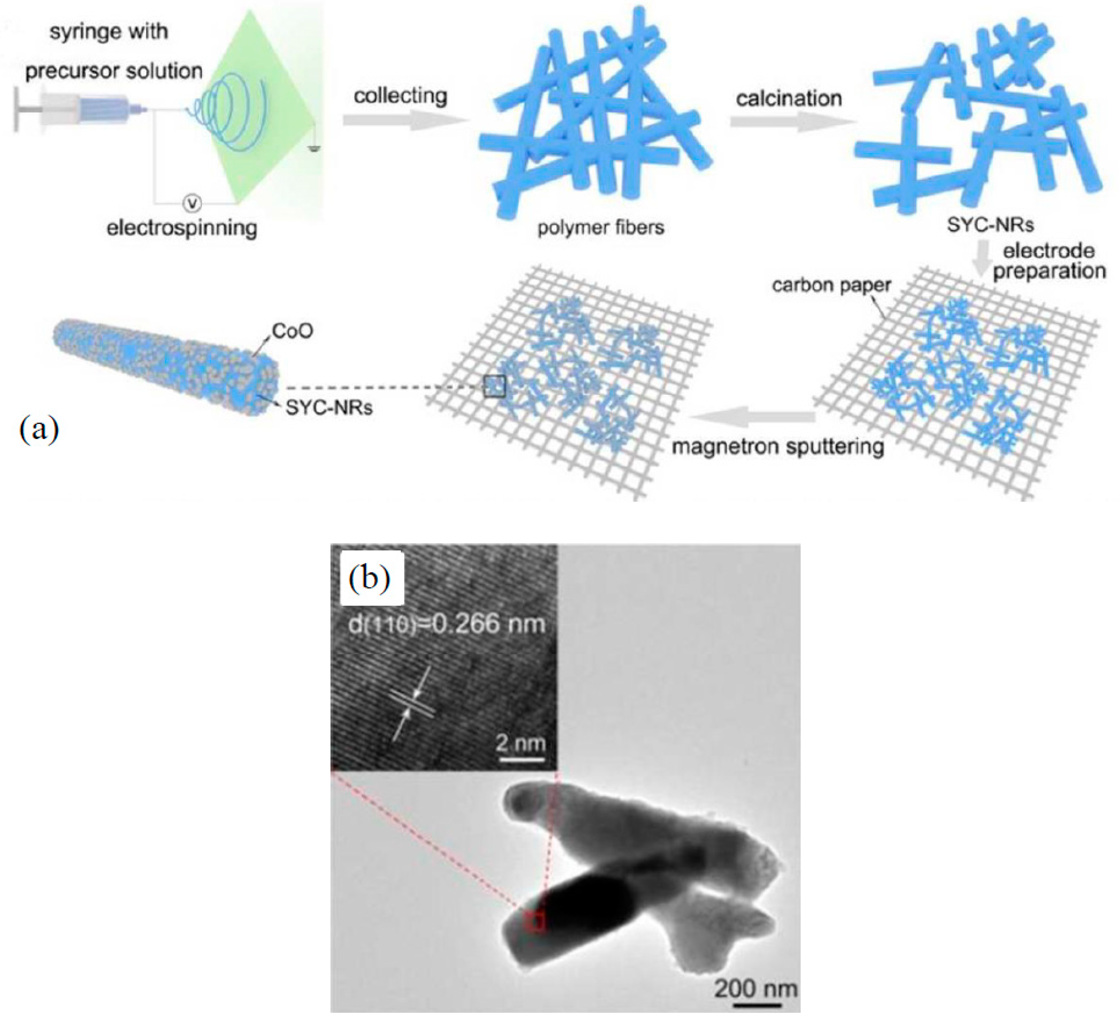 Catalysts 10 00938 g003 Catalysts 10 00938 g003