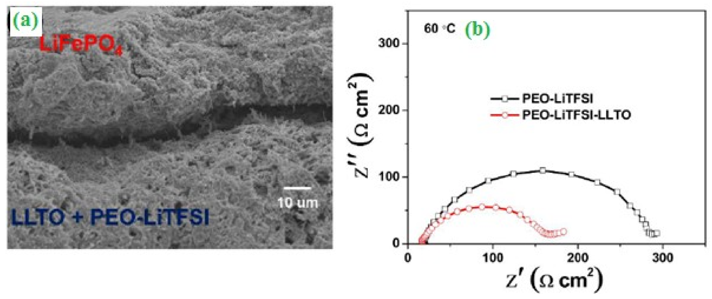 Catalysts 10 00938 g004 Catalysts 10 00938 g004