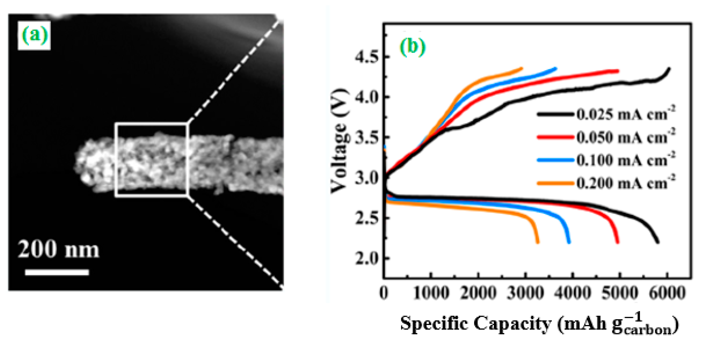 Catalysts 10 00938 g005 Catalysts 10 00938 g005
