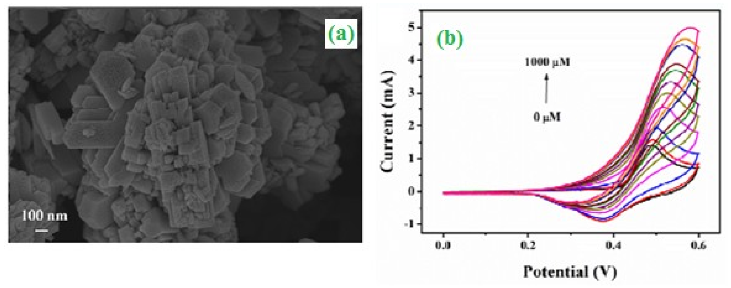 Catalysts 10 00938 g010 Catalysts 10 00938 g010