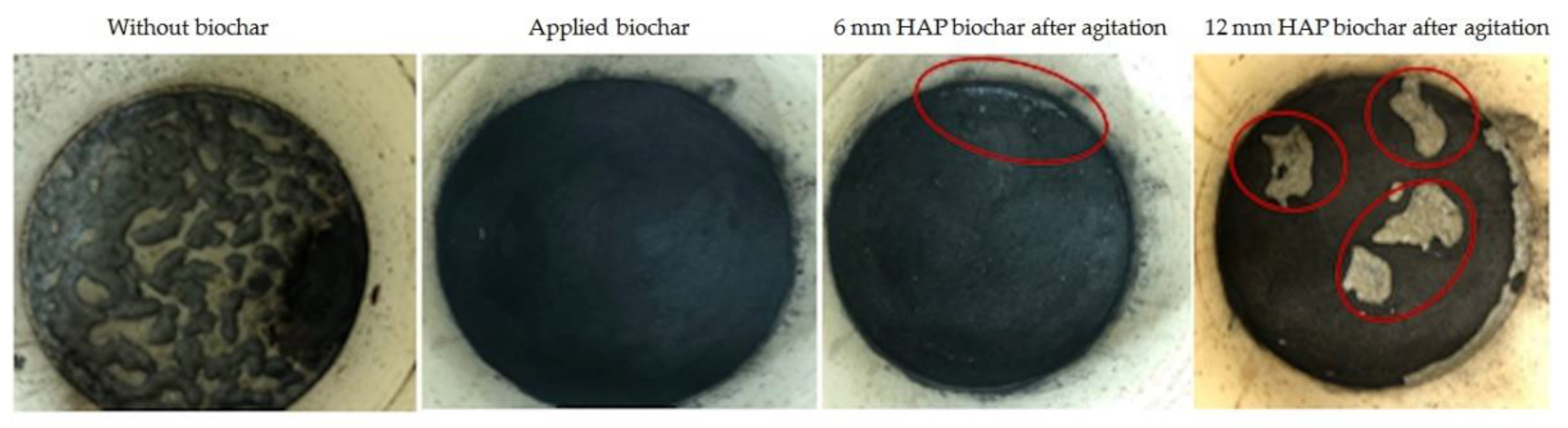 Catalysts 10 00940 g002