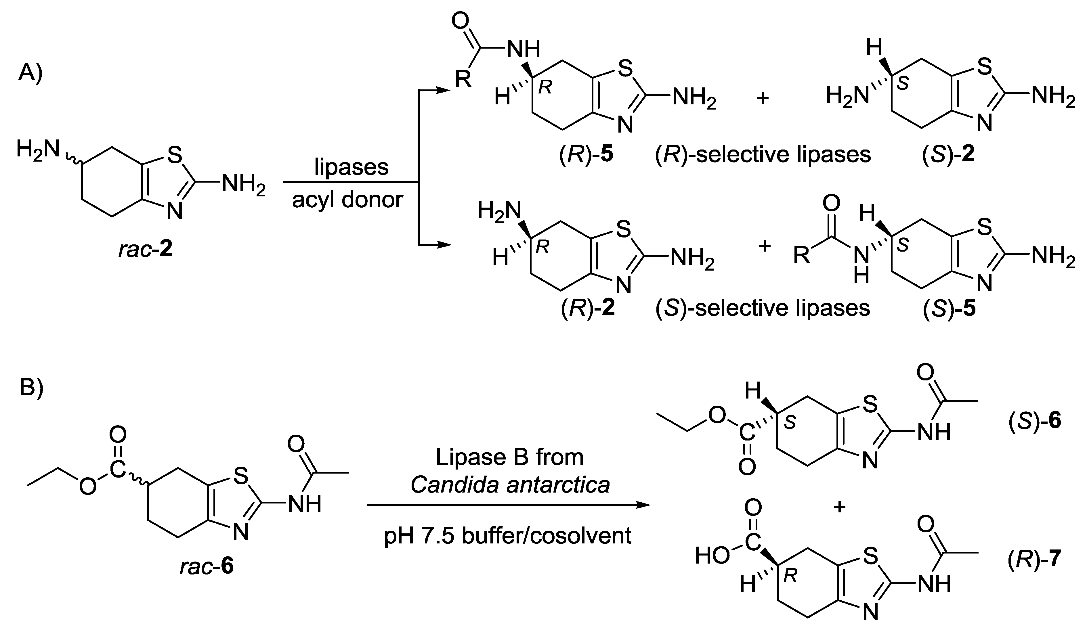 Catalysts 10 00941 sch001 Catalysts 10 00941 sch001