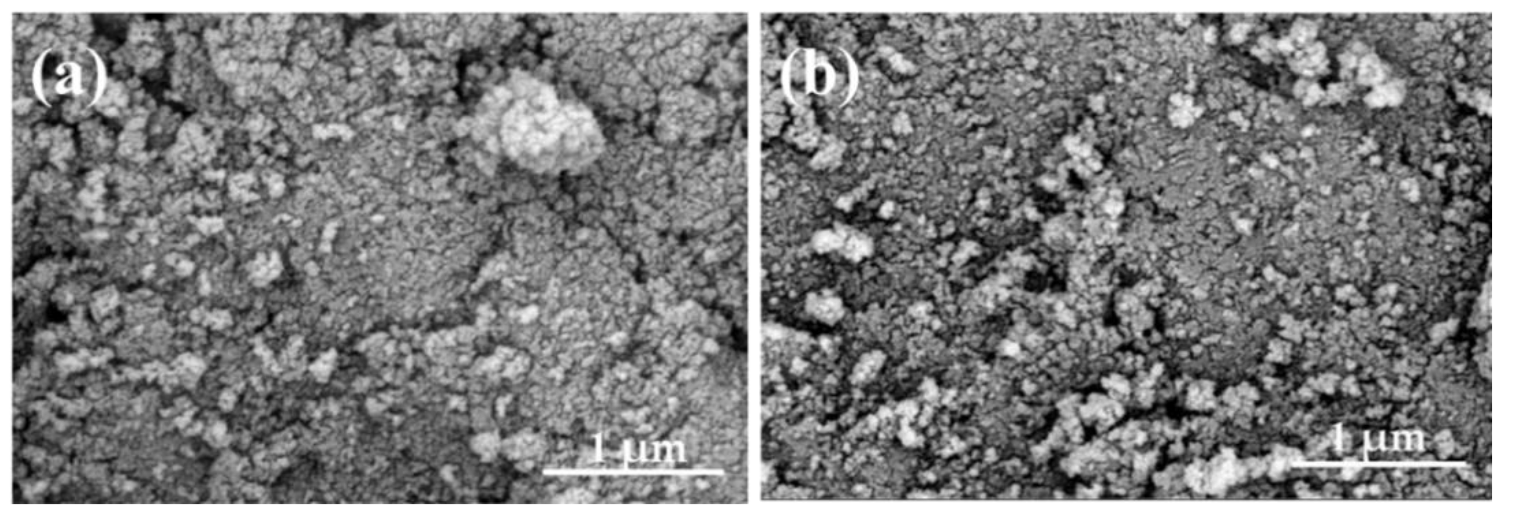 Catalysts 10 00942 g002