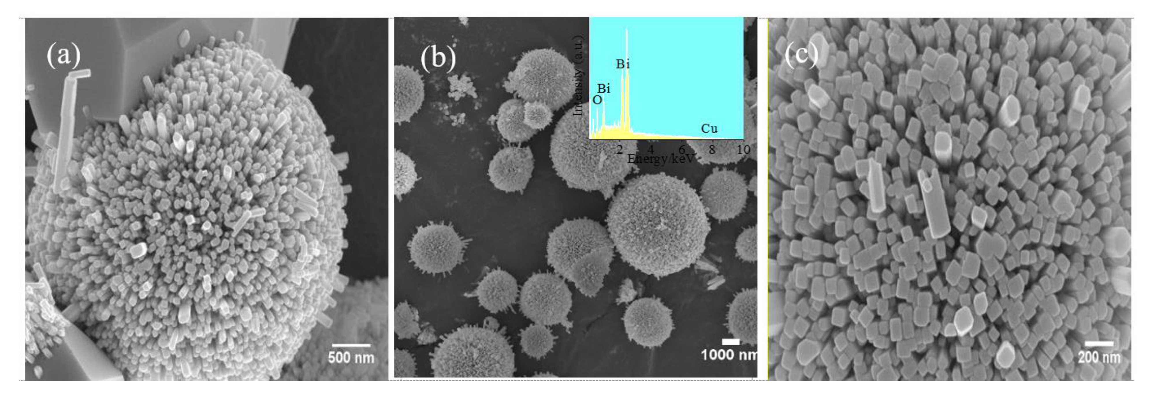 Catalysts 10 00945 g001 550
