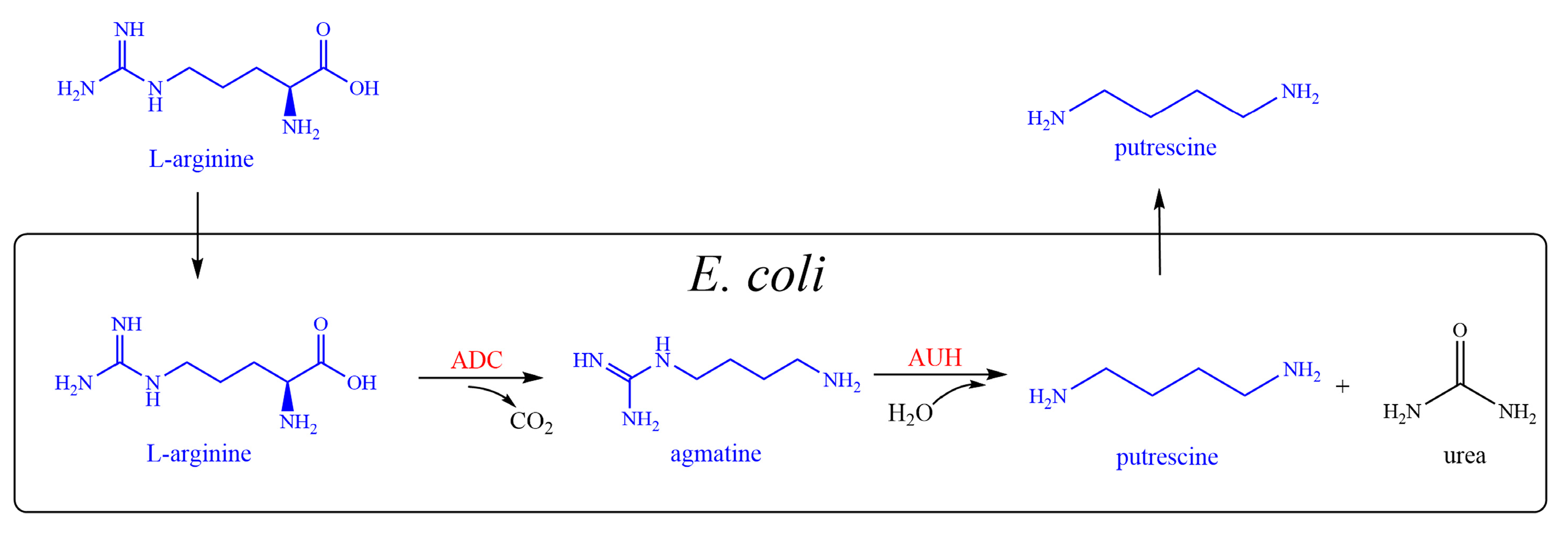 Catalysts 10 00947 g001