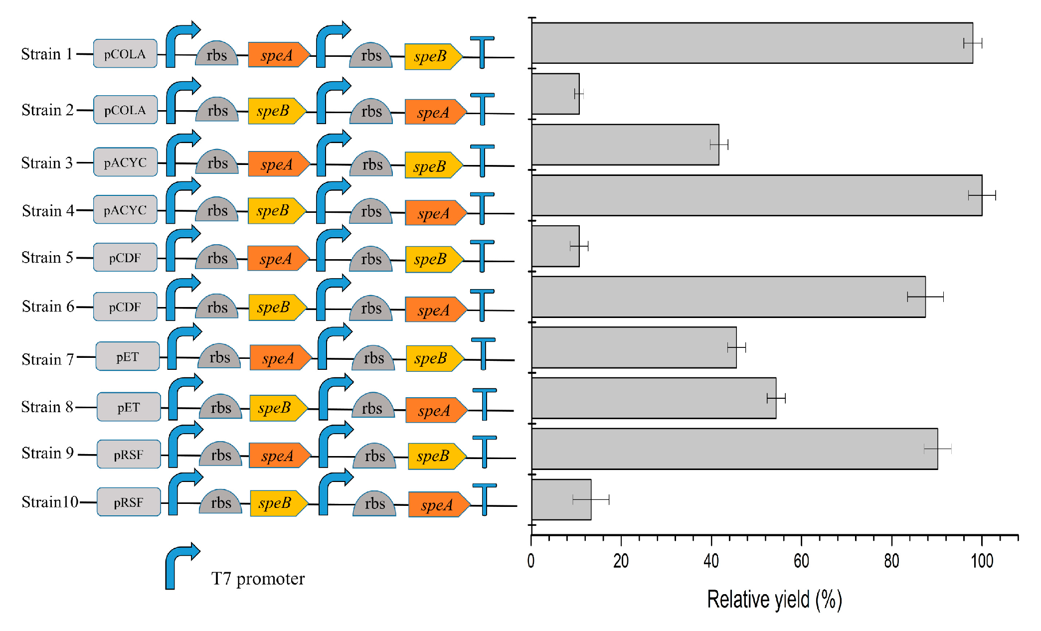 Catalysts 10 00947 g004