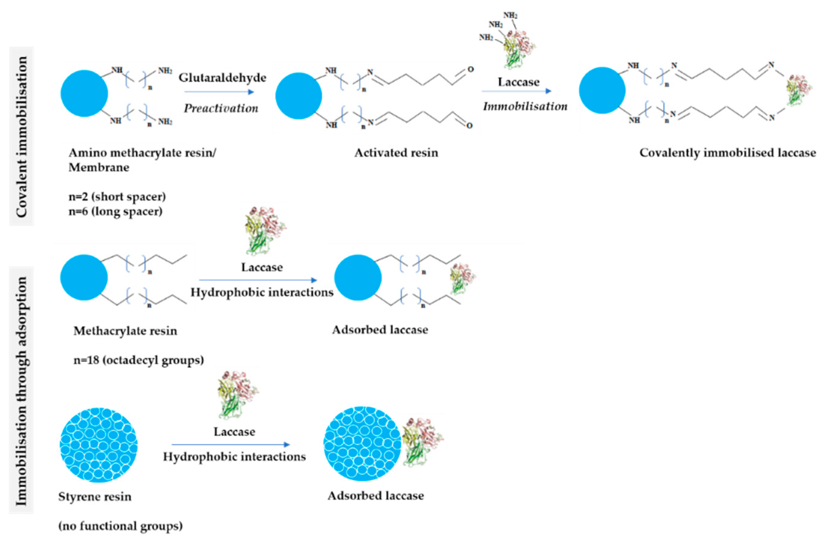 Catalysts 10 00951 g002 Catalysts 10 00951 g002