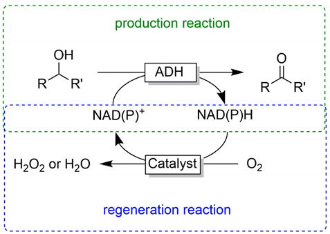 Catalysts 10 00952 i001