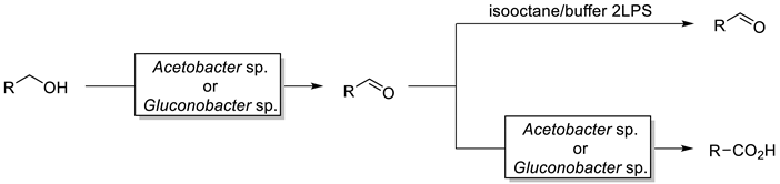 Catalysts 10 00952 i002