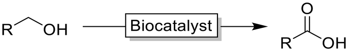 Catalysts 10 00952 i007