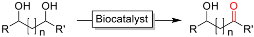 Catalysts 10 00952 i018