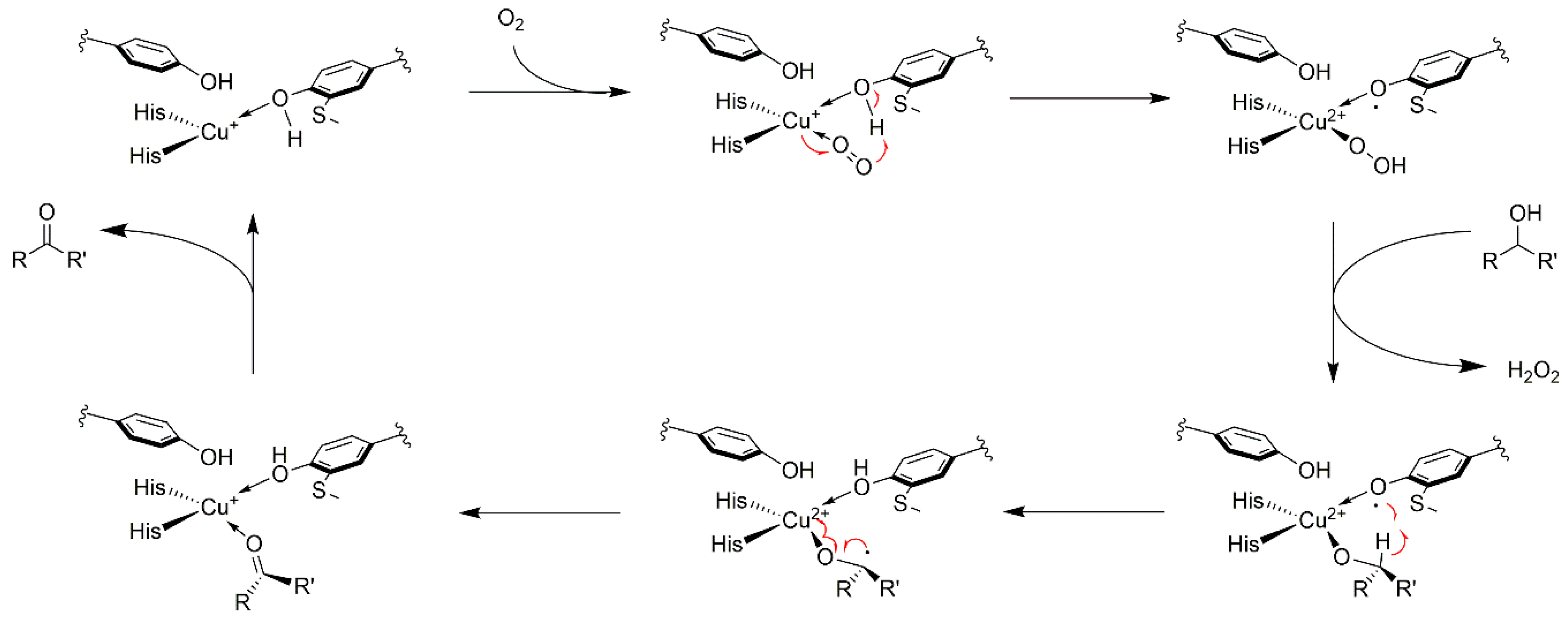 Catalysts 10 00952 sch005