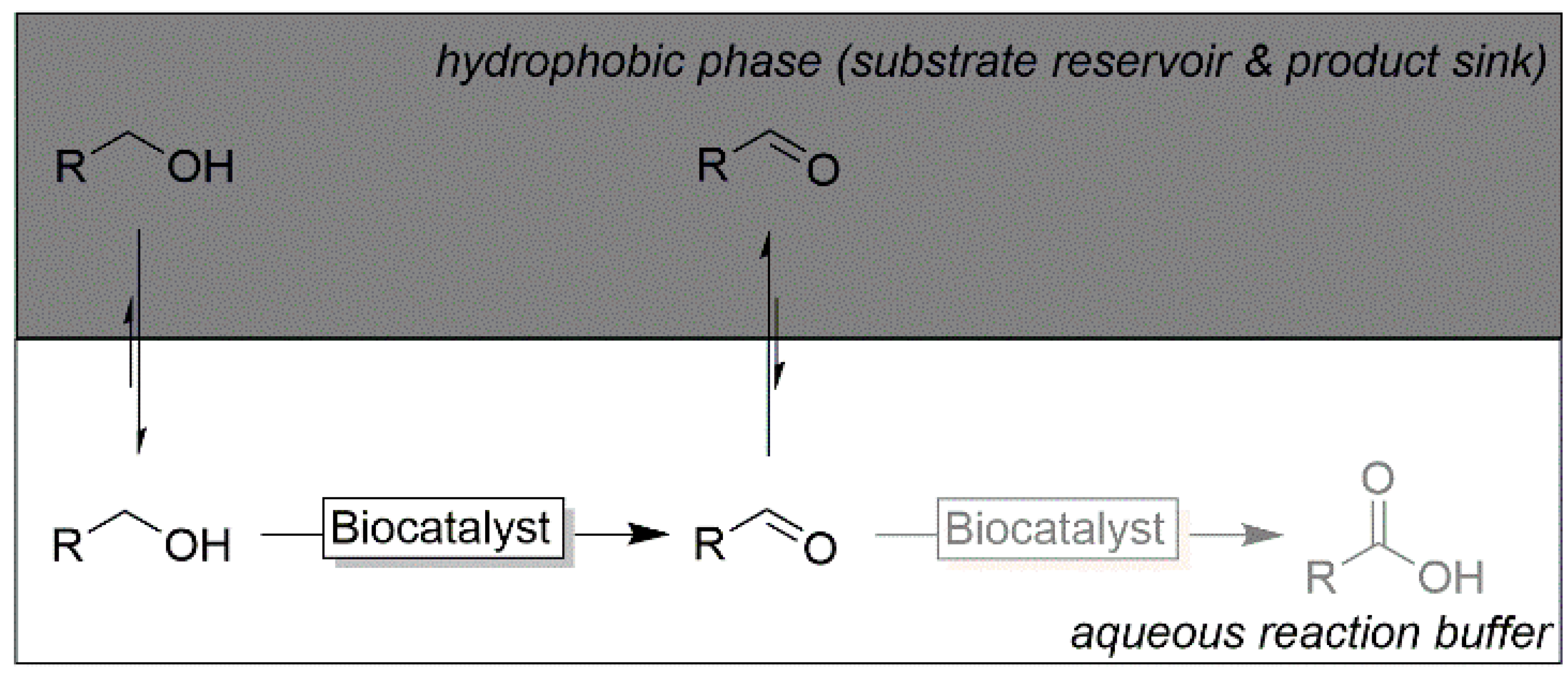 Catalysts 10 00952 sch007