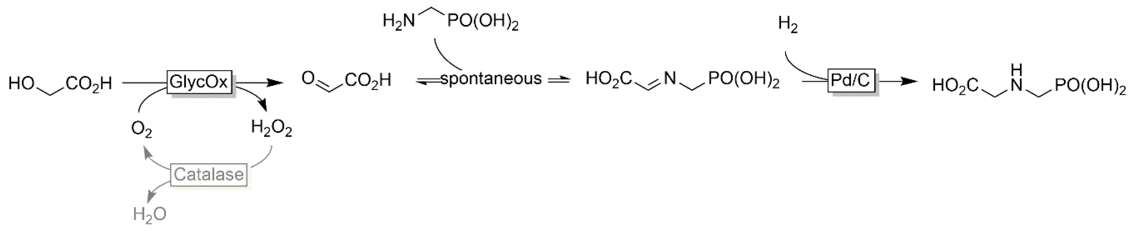 Catalysts 10 00952 sch009