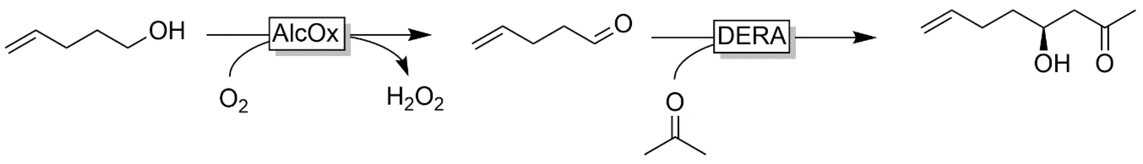 Catalysts 10 00952 sch010