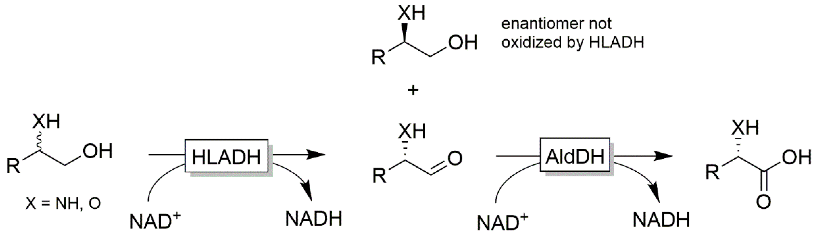 Catalysts 10 00952 sch016