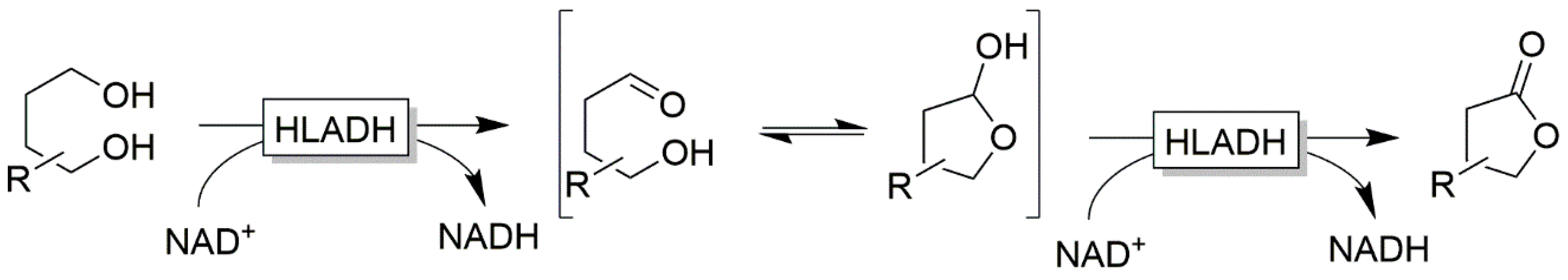 Catalysts 10 00952 sch017