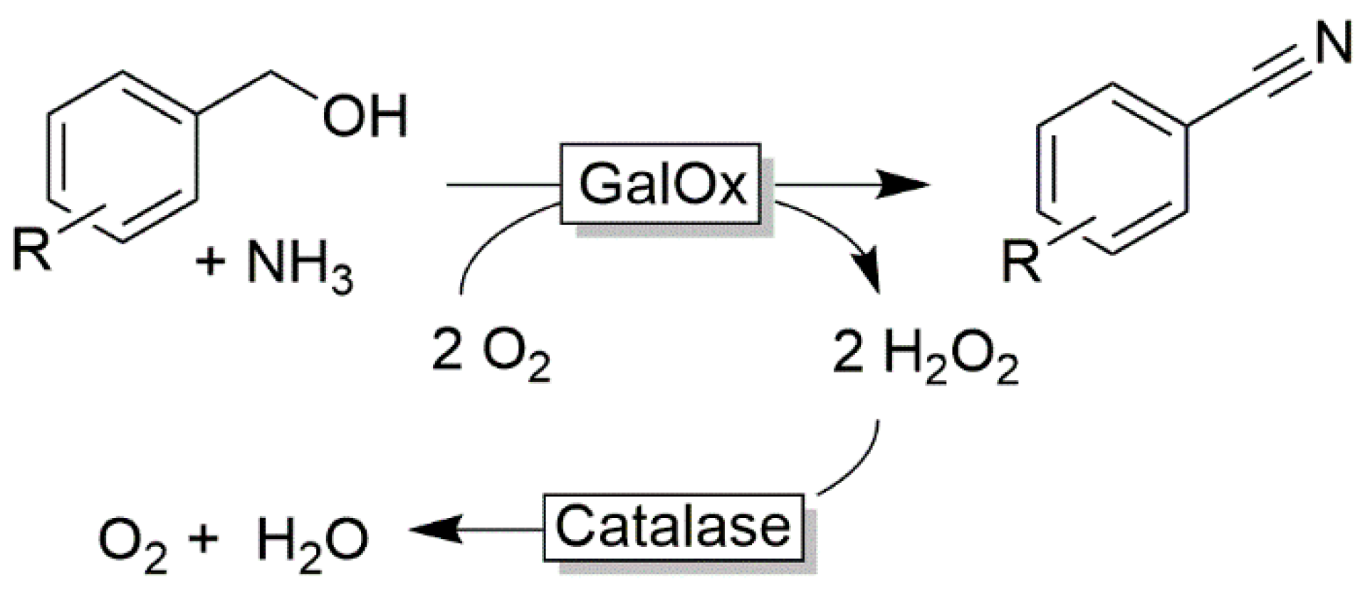 Catalysts 10 00952 sch019