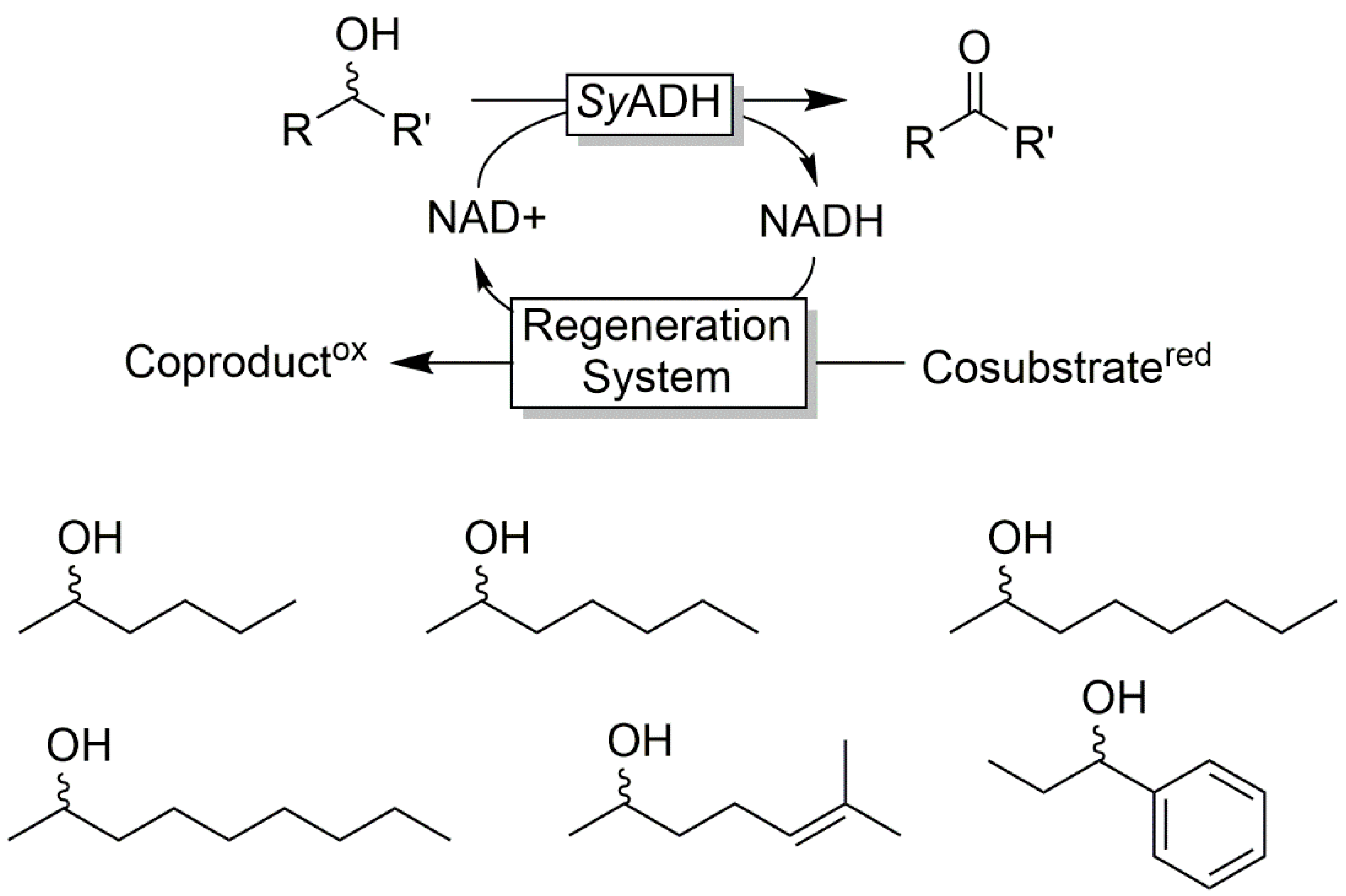 Catalysts 10 00952 sch021