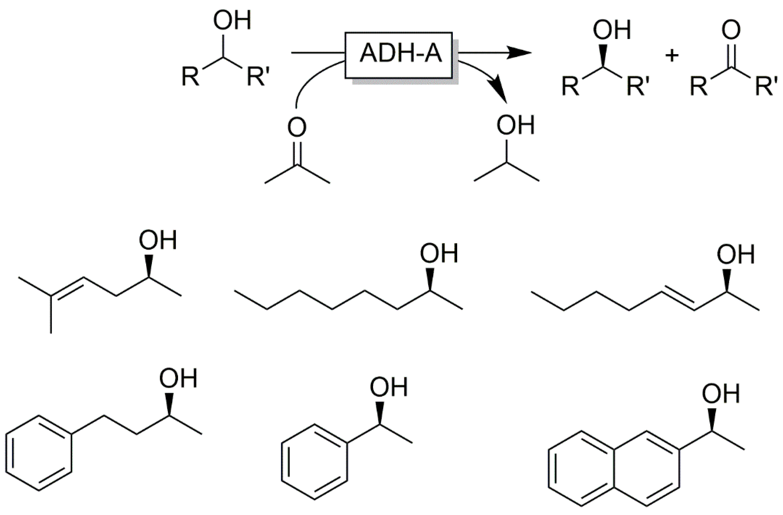 Catalysts 10 00952 sch024