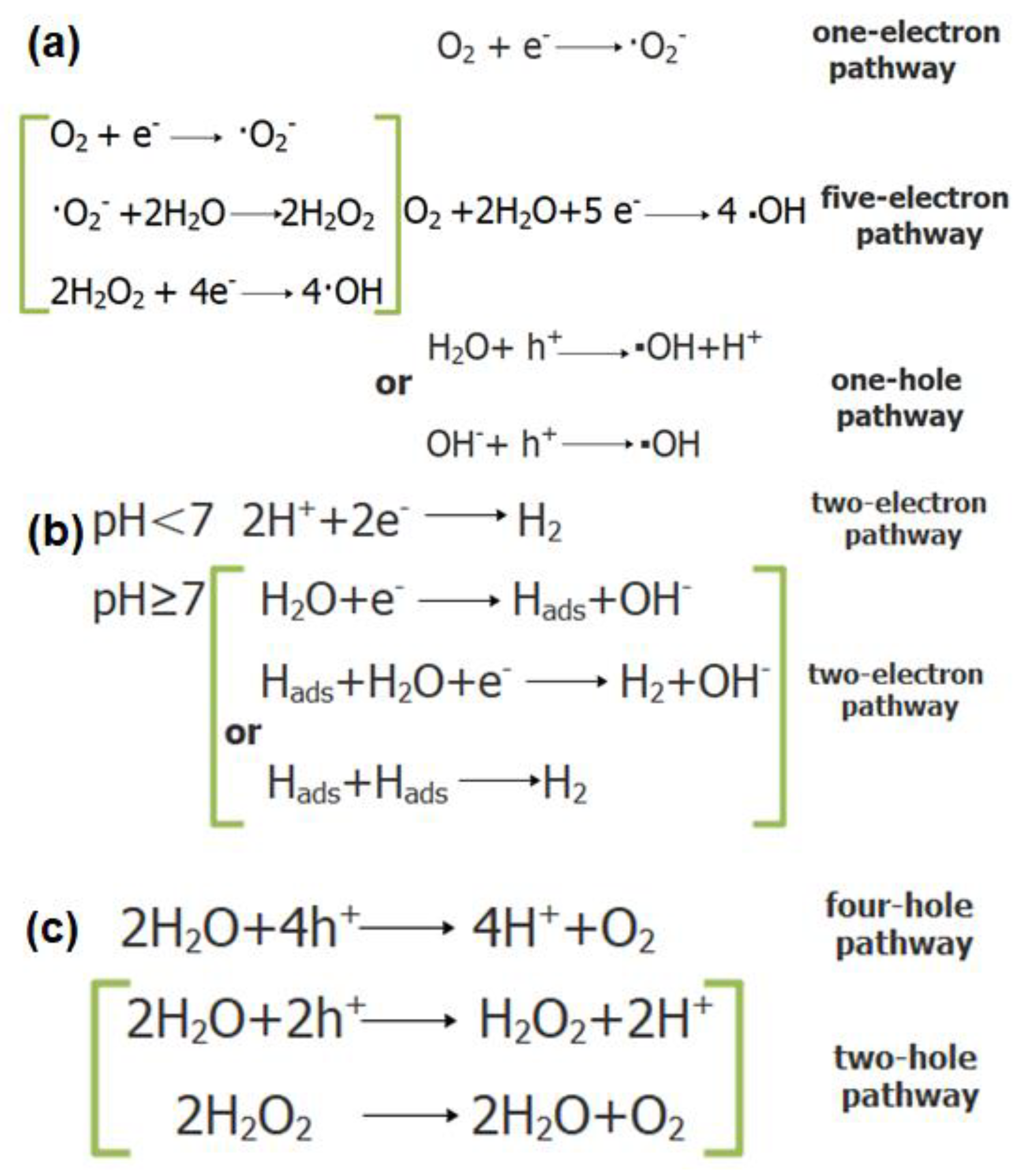 Catalysts 10 00958 g001 Catalysts 10 00958 g001
