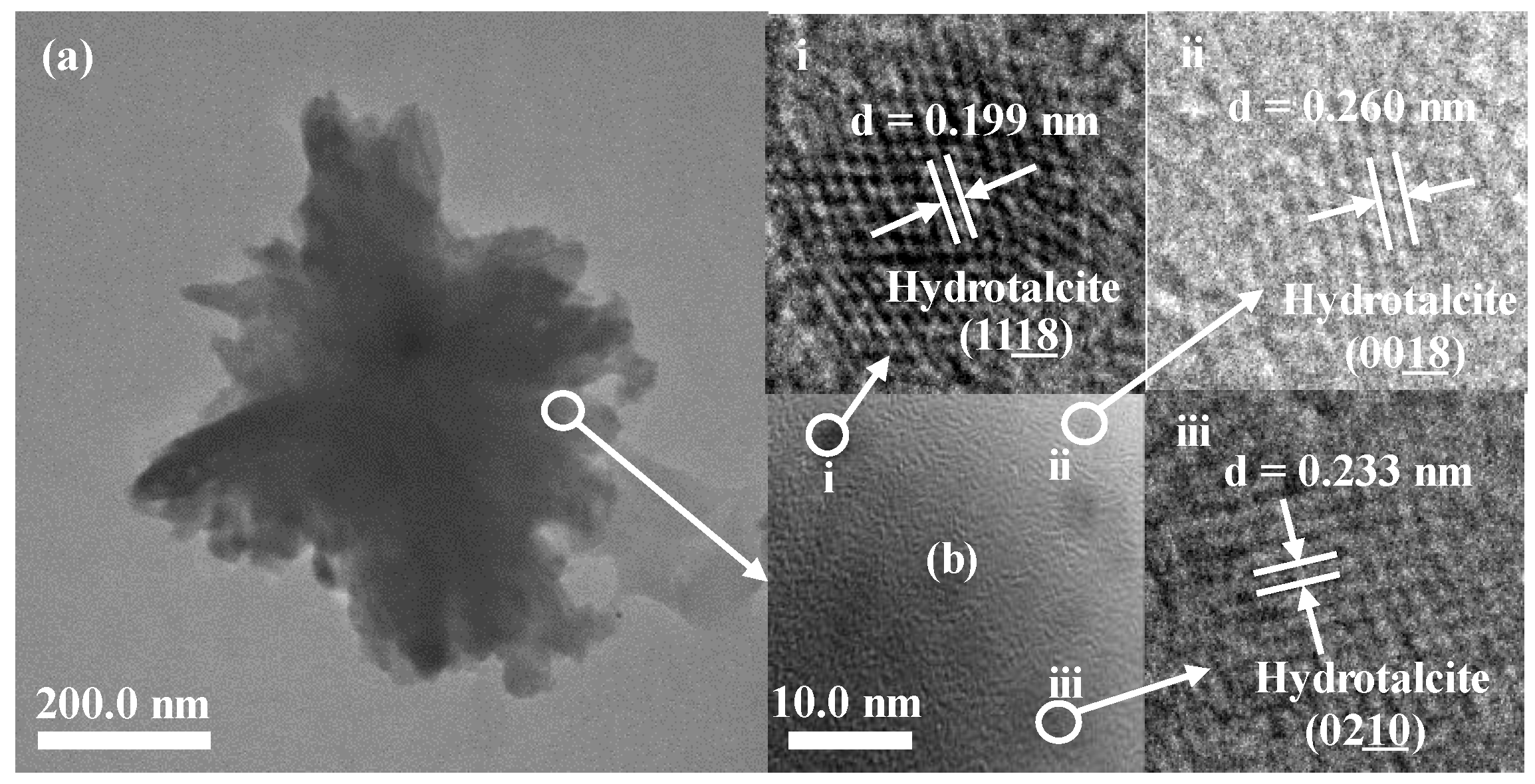 Catalysts 10 00960 g001 Catalysts 10 00960 g001