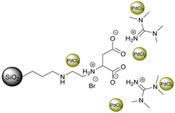 Catalysts 10 00963 i011
