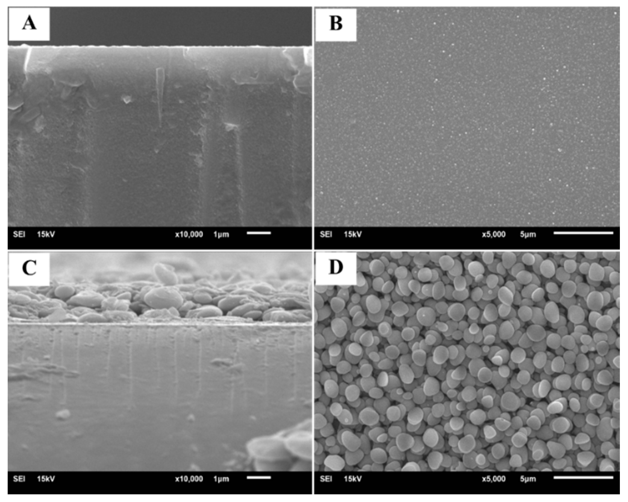 Catalysts 10 00964 g001