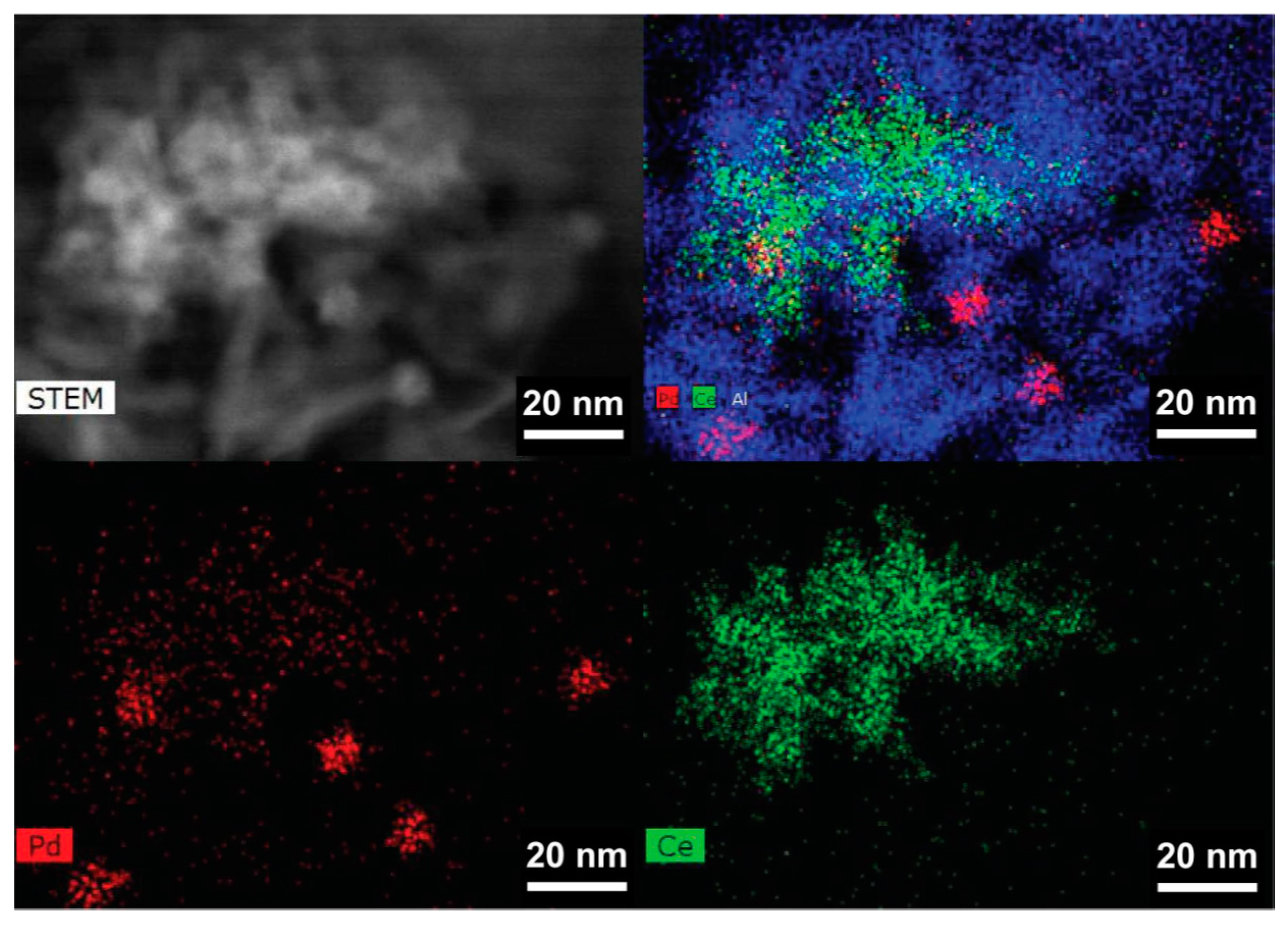 Catalysts 10 00976 g005 Catalysts 10 00976 g005