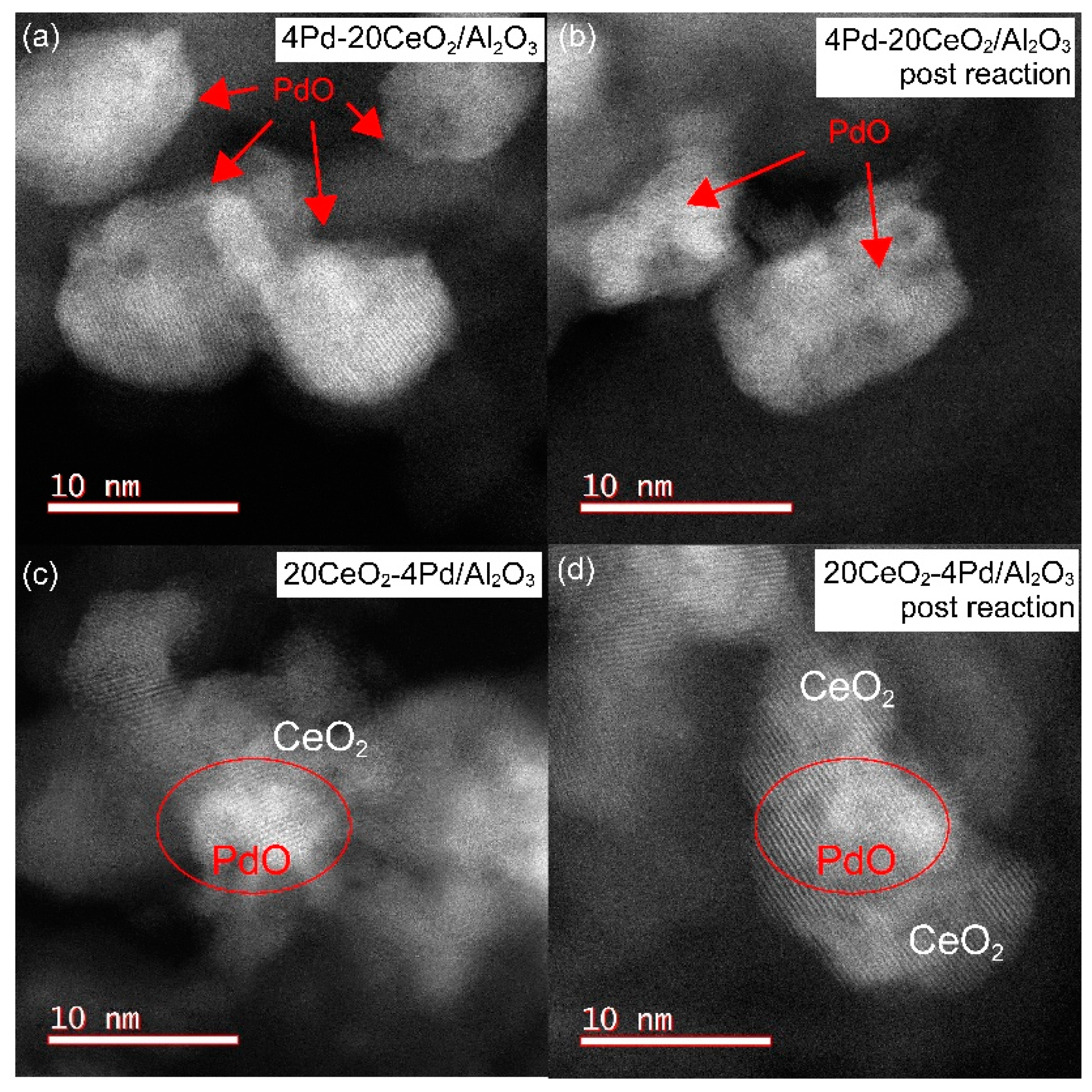 Catalysts 10 00976 g008 Catalysts 10 00976 g008