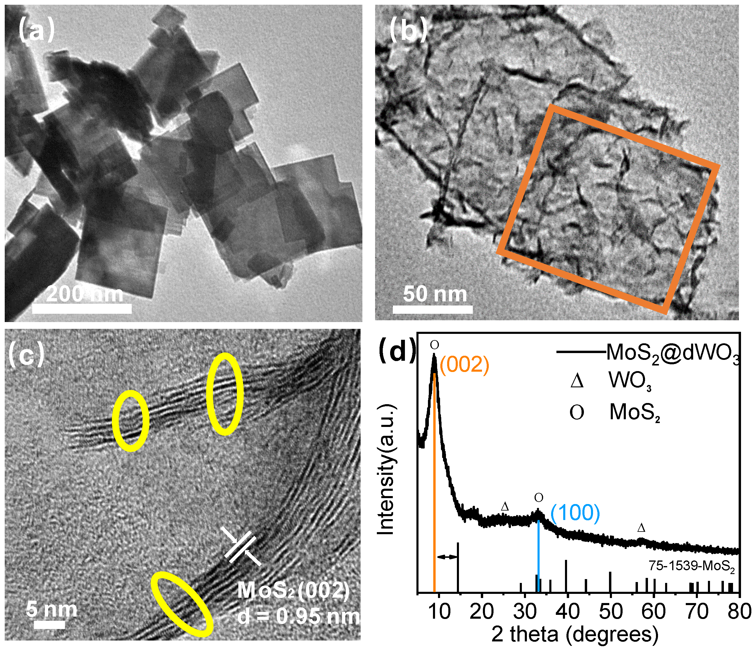 Catalysts 10 00977 g001