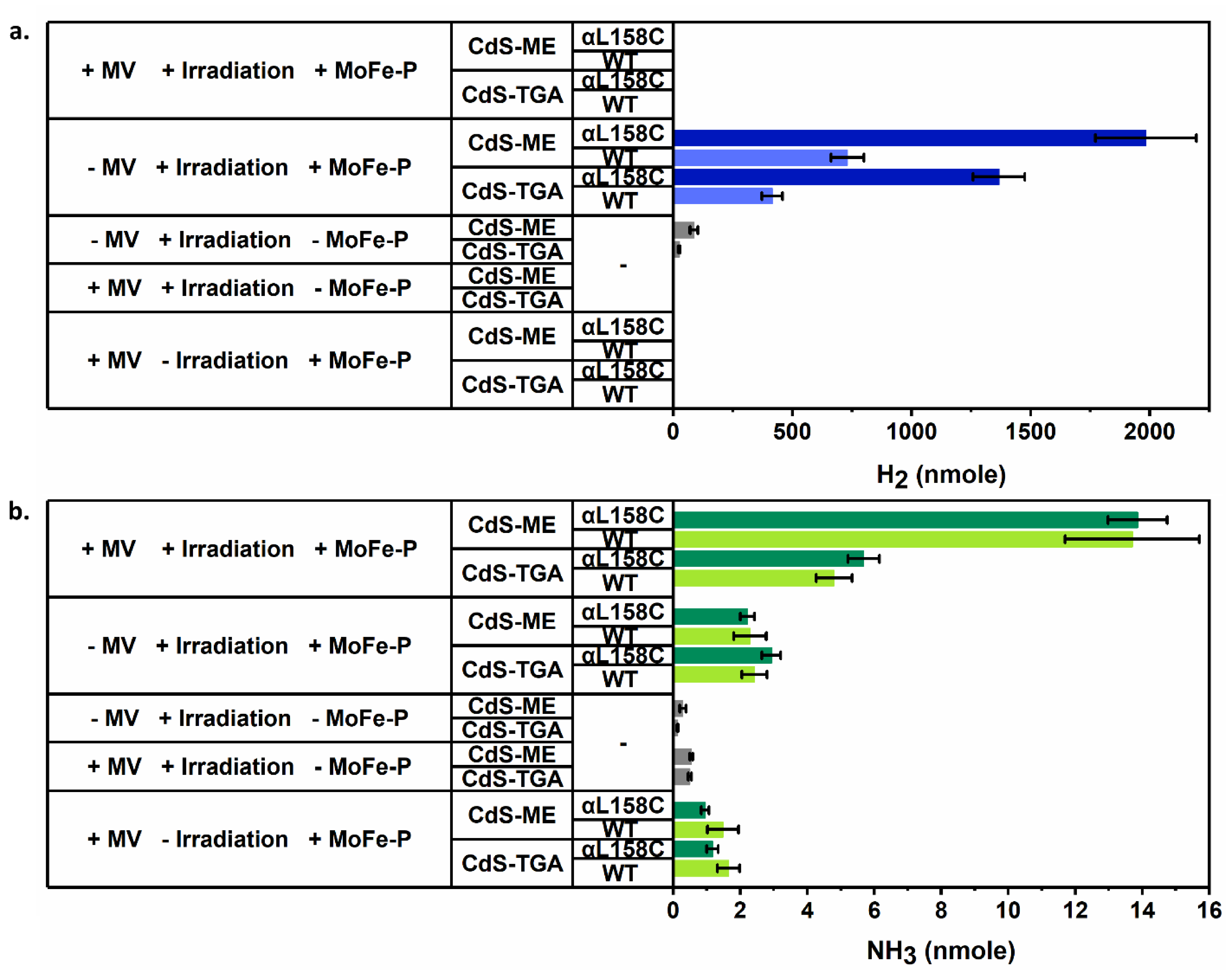 Catalysts 10 00979 g003