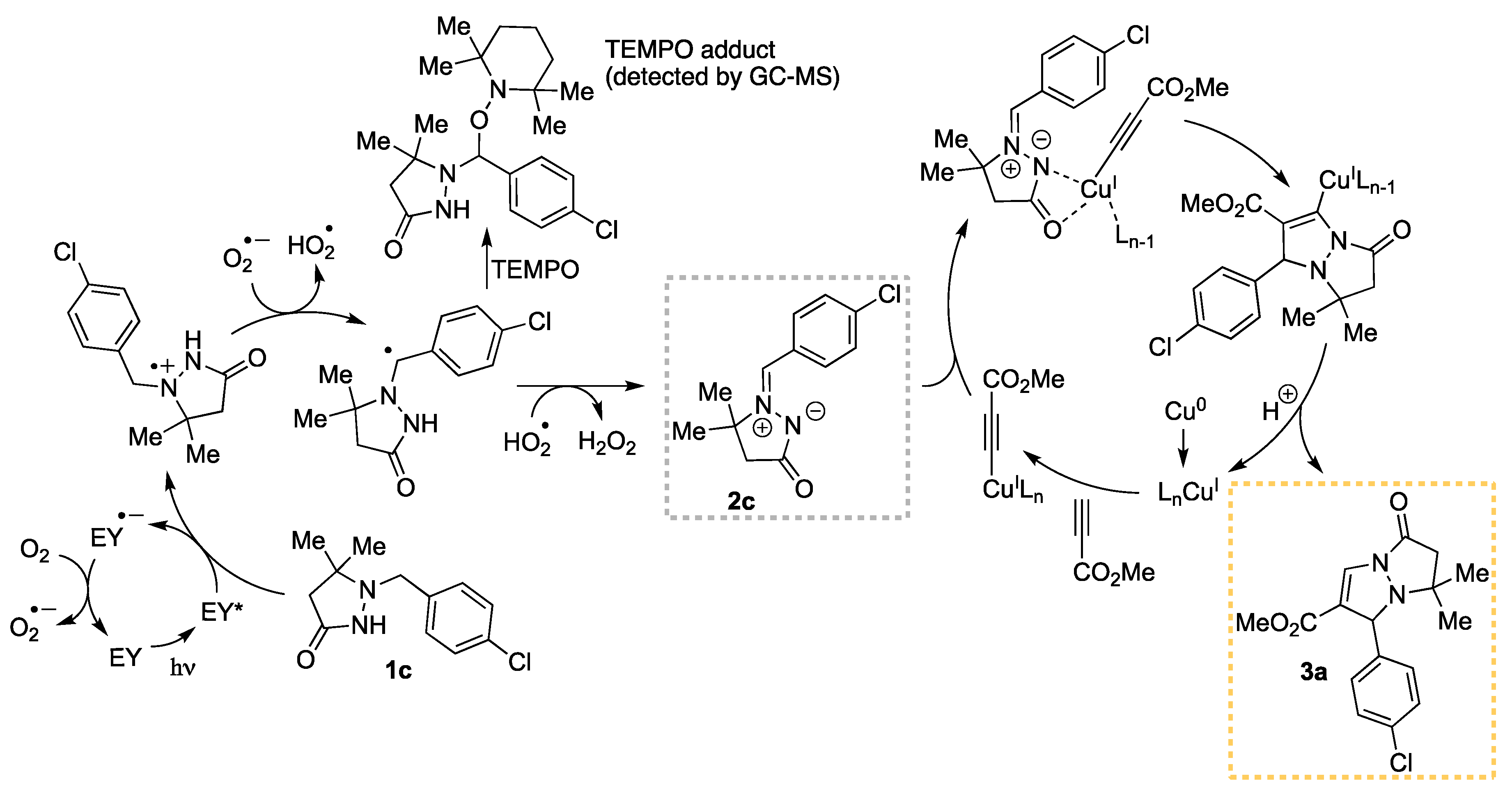 Catalysts 10 00981 sch006 Catalysts 10 00981 sch006