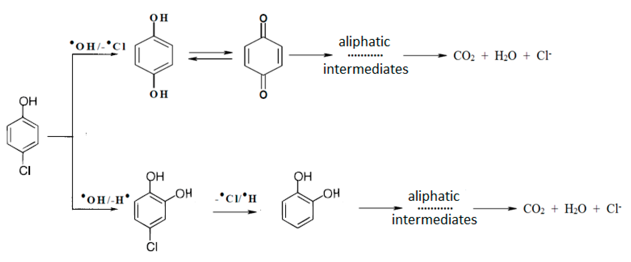 Catalysts 10 00985 g007 Catalysts 10 00985 g007