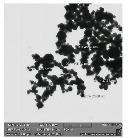 Catalysts 10 00986 g001 Catalysts 10 00986 g001