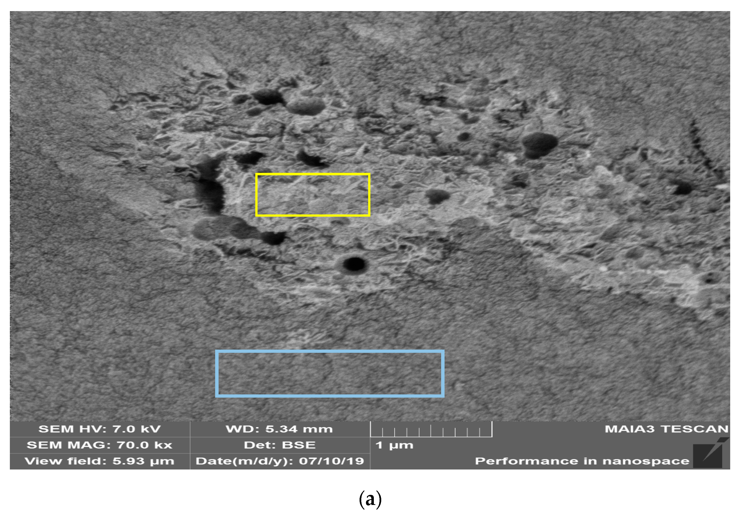Catalysts 10 00986 g004a Catalysts 10 00986 g004a