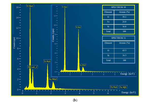 Catalysts 10 00986 g004b Catalysts 10 00986 g004b