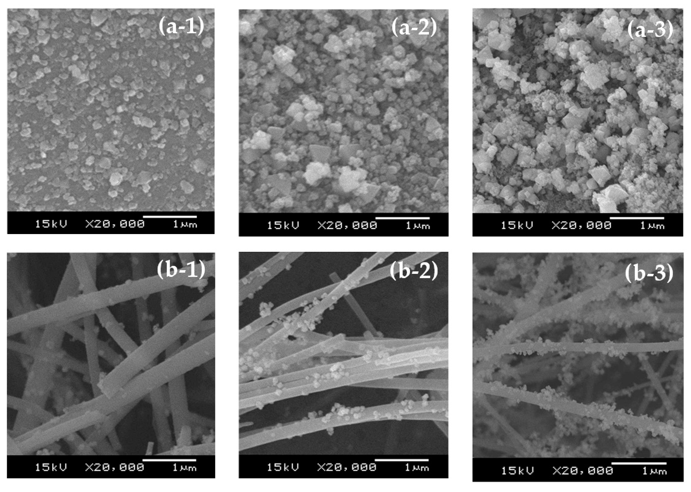 Catalysts 10 00993 g003