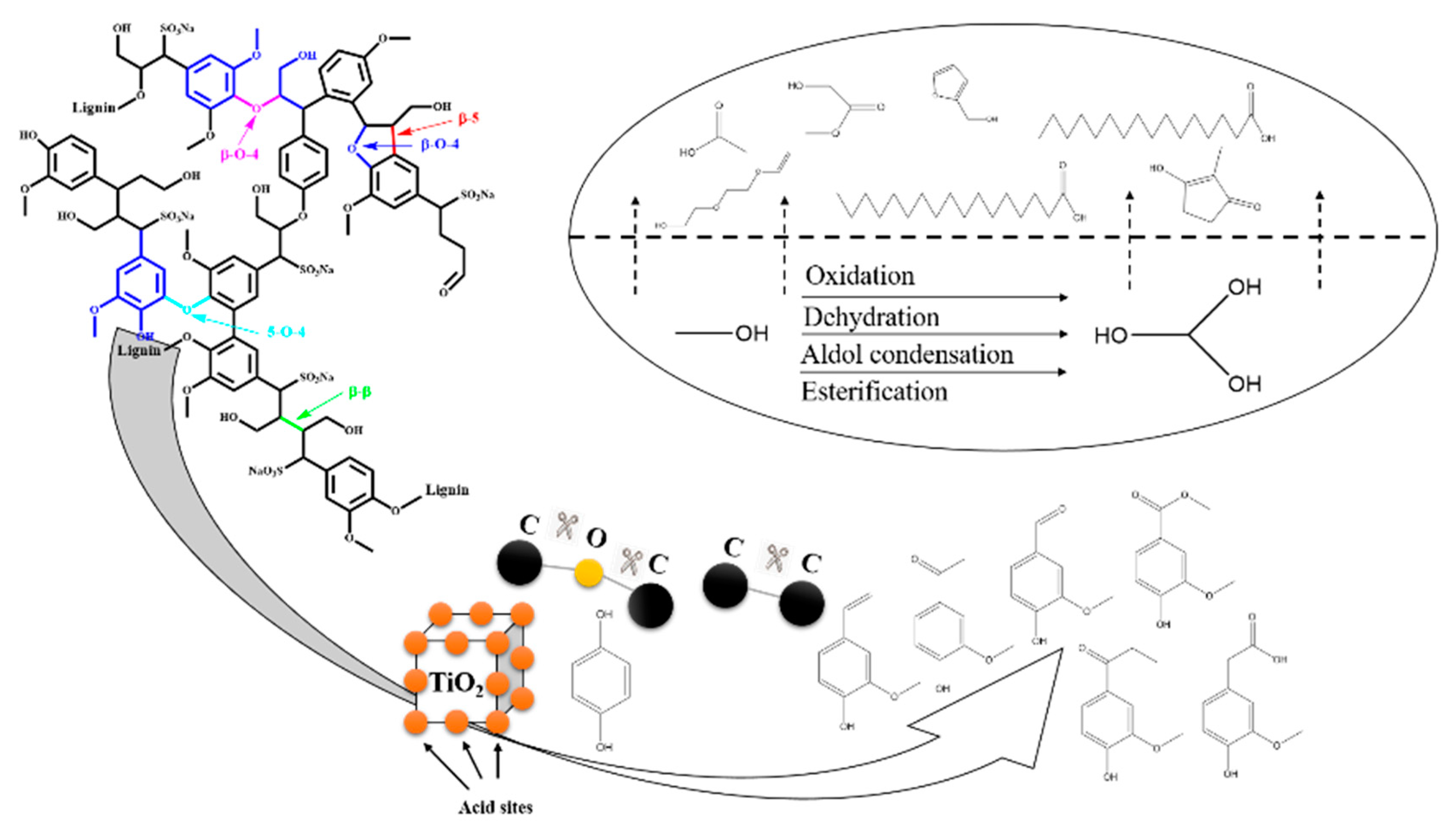 Catalysts 10 00995 g007 Catalysts 10 00995 g007