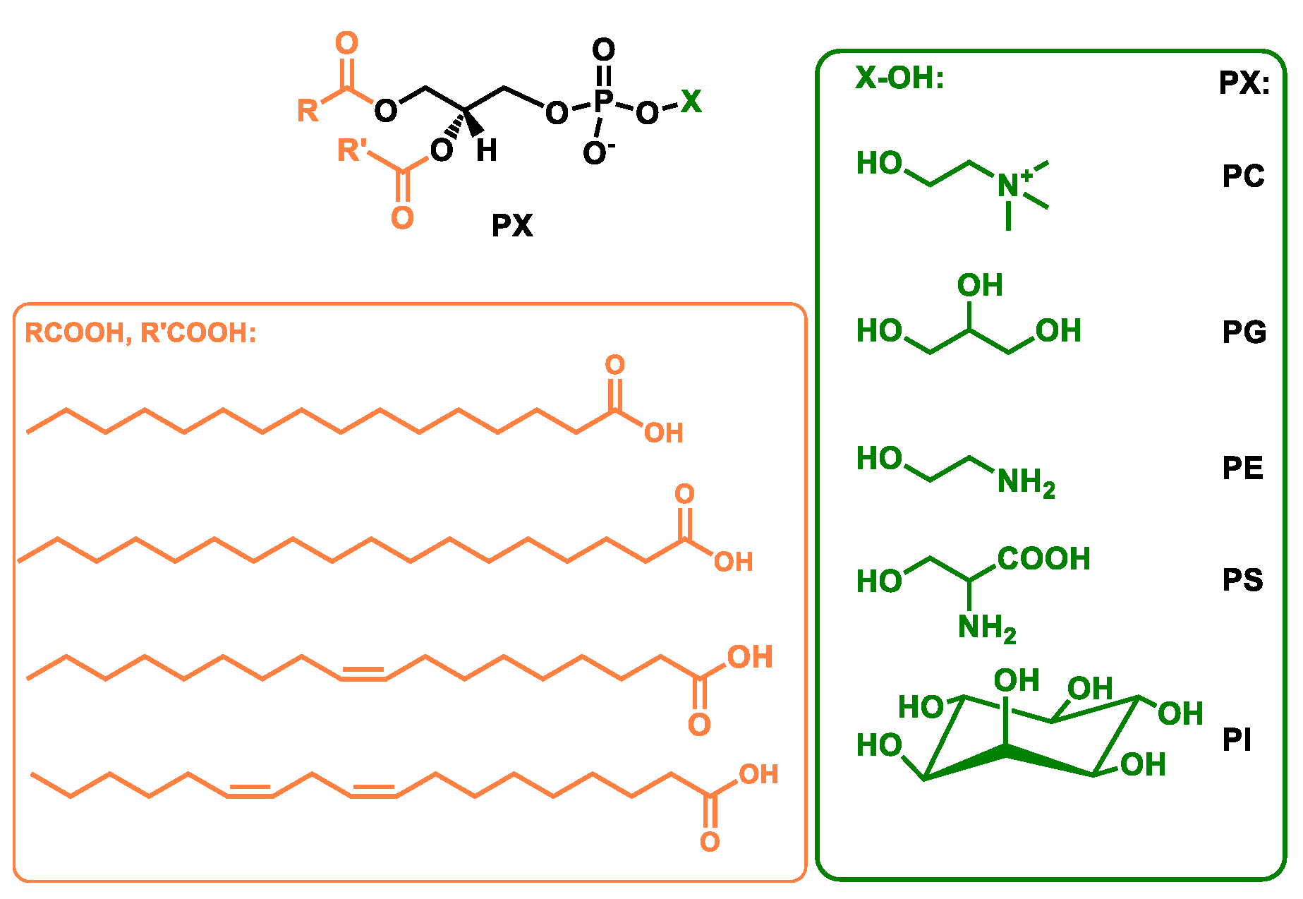 Catalysts 10 00997 g001 Catalysts 10 00997 g001